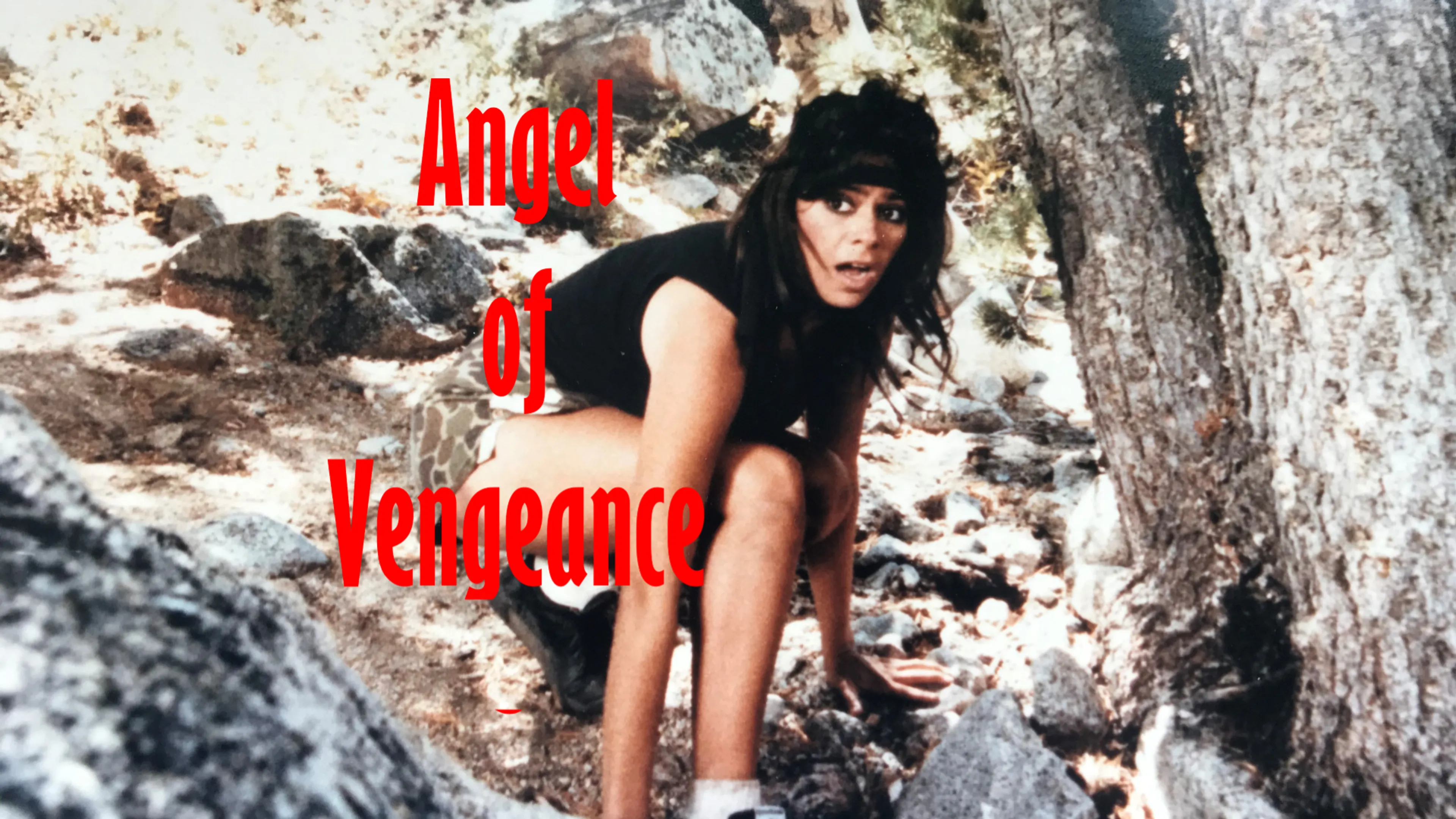 Angel of Vengeance poster